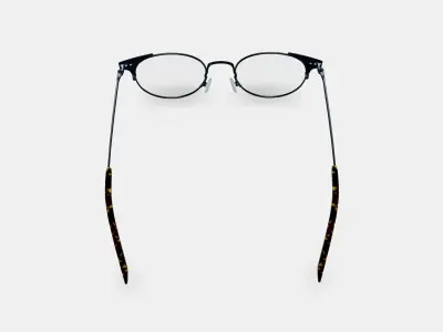 Patel Eyeglasses in Brushed Ink 3D model