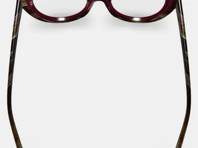 Camila Eyeglasses in Oxblood with Striped Elm 3D model