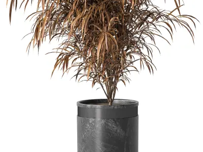 Indoor Plant Set 01 3D model purchase