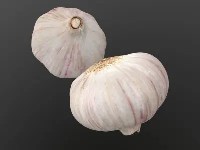 Photorealistic Garlic 3D Scan AR VR PBR Low-poly 3D model