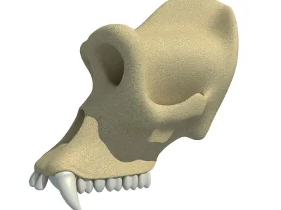 Gorilla Skull 3D model