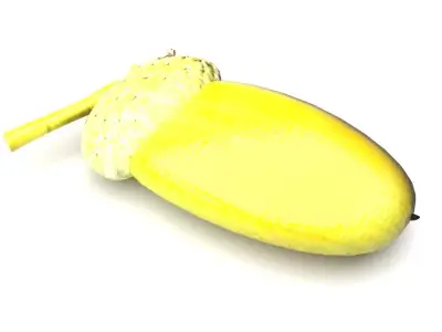 Acorn 3D model
