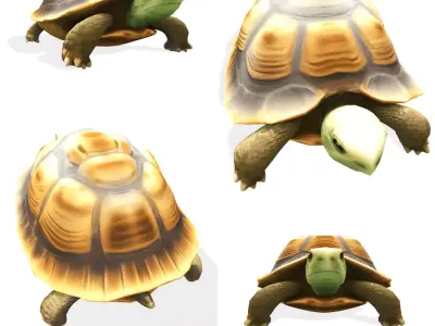 Stylized Tortoise 3D model