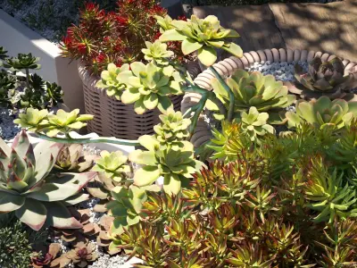 Maxtree Plant Models Vol 14 Low Poly - Mesh 3D model