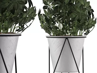 Plants Collection 92 3D model