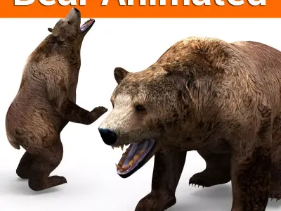 3D Brown Bear Rigged and animated  Low-poly 3D model