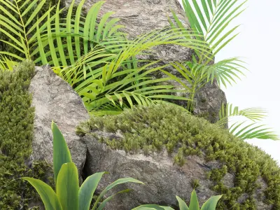 Rock and Tropical Plants 3D Model Collection Vol 297 Low-poly 3D model
