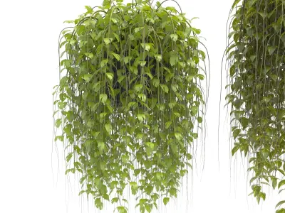 Plants collection 30 3D model