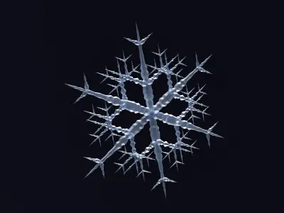 Snowflake animated model 3D model
