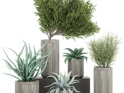 Decorative plants in a concrete flowerpots 802 3D model