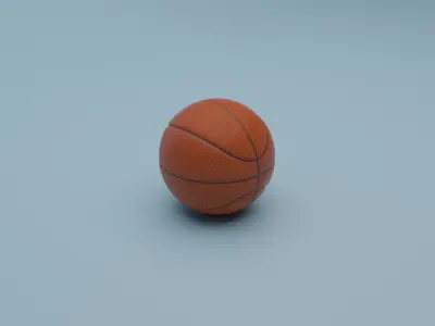Basketball 3D Model 3D model