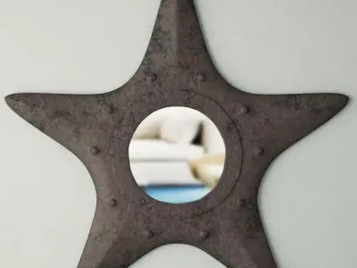 Metal Starfish Mirror 3D model