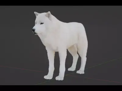Arctic Wolf Low-poly 3D model