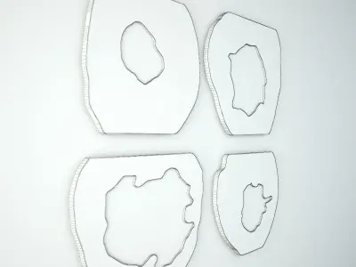 Organic Monkey Pod Mirrors 3 3D model