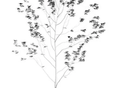 Minimalistic young tree on wooden base 3D model