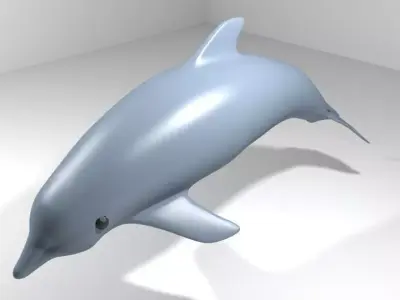 Dolphin - Oceanic 3D model