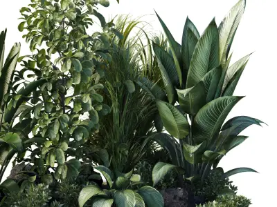 Garden Plants   Outdoor plant Collection 132 Low-poly 3D model