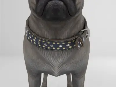 Dog Pug Pack Low-poly 3D model Low-poly 3D model