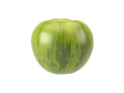 Photorealistic Green Zebra Tomato 3D Scan 3D model