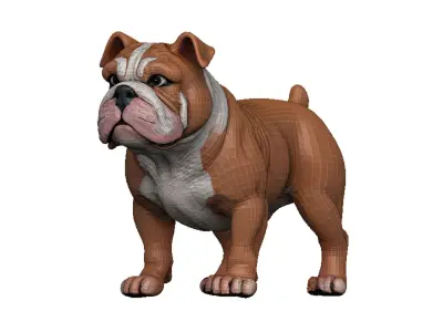 Bulldog Low-poly 3D model buy