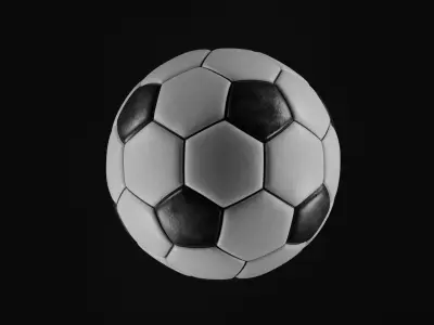 Generic Black and White Soccer Ball Free 3D model