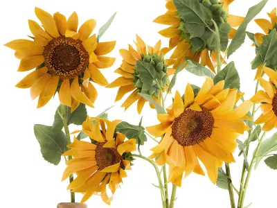 Flower bouquet of sunflowers in a clay vase 132 3D model