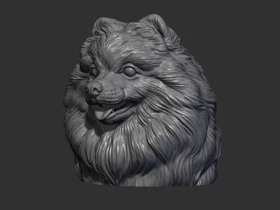 Pomeranian head 3D print model