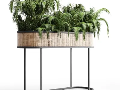 collection Indoor plant palm 40-bax wood vase Low-poly 3D model