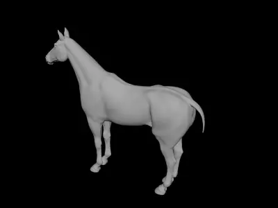 Horse 3D model Low-poly 3D model