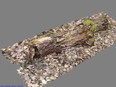 Wood Log 3D model