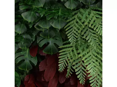 Large Plant Wall 01 Free 3D model