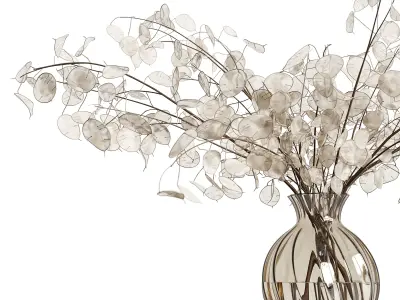 A bouquet of lunaria 3D model