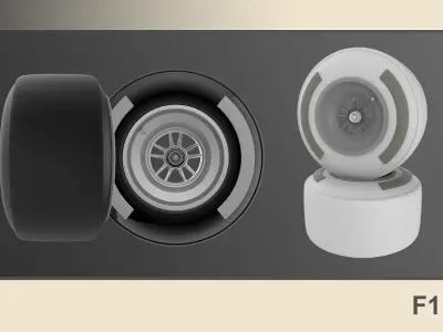 10 Varied Tire and Rim Sets  3D model