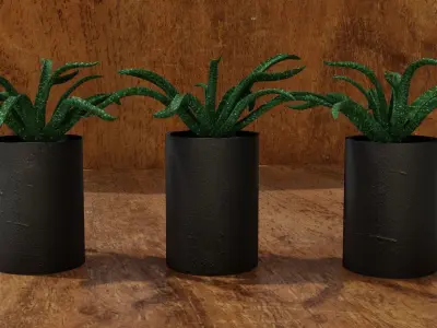  indoor pot plant Low-poly 3D model