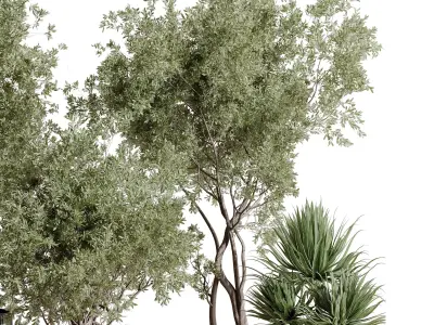 indoor plant set 408 plant tree palm bush concrete dirt vase Low-poly 3D model