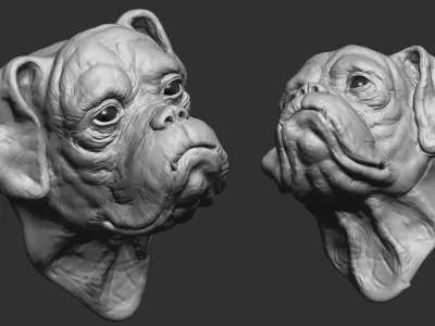 Boxer 3D model purchase