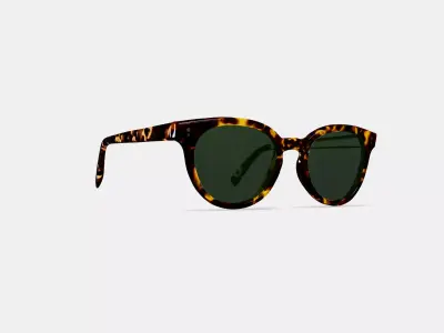 Taye Sunglasses in Black Oak Tortoise 3D model