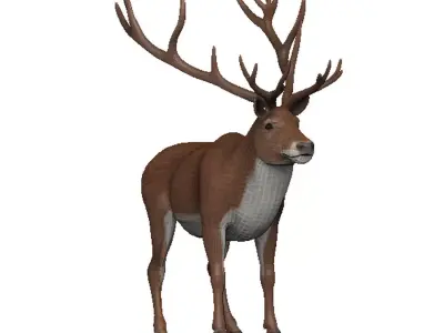 Caribou Low-poly 3D model