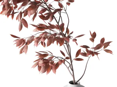 Decorative Set 15 3D model buy