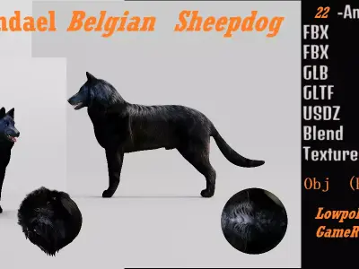 Groenendael Belgian Sheepdog Low-poly 3D model