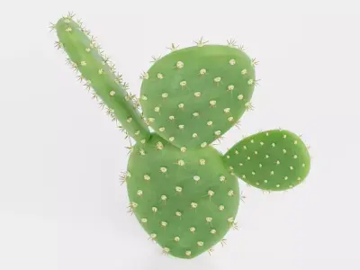 Opuntia Cactus Low-poly 3D model