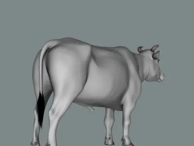 Bull  3d Model 3D model