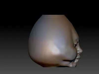 face-vase 2 human head 3D print model