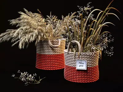 Field plants set 3D model