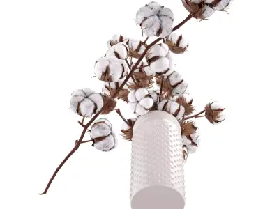 Cotton Plant 3D model