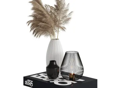 Decorative Set - With Dried Flowers- Vase -Candle and Book  3D model