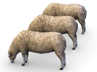 Low Poly Farm Sheep Low-poly 3D model
