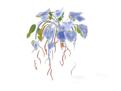 Green Foliage Plant model pack Low-poly 3D model