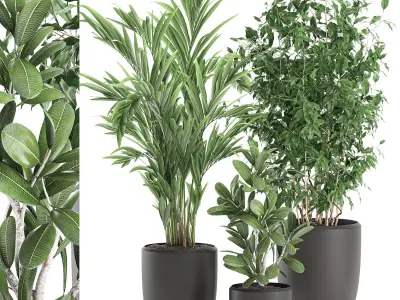 Decorative plants in a white flowerpot 567 3D model