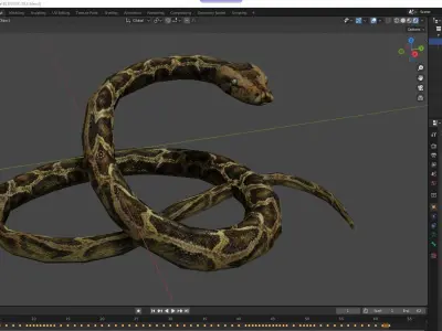 Anaconda Animated Low-poly 3D model